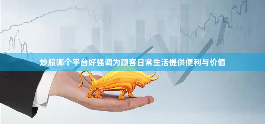 炒股哪个平台好强调为顾客日常生活提供便利与价值